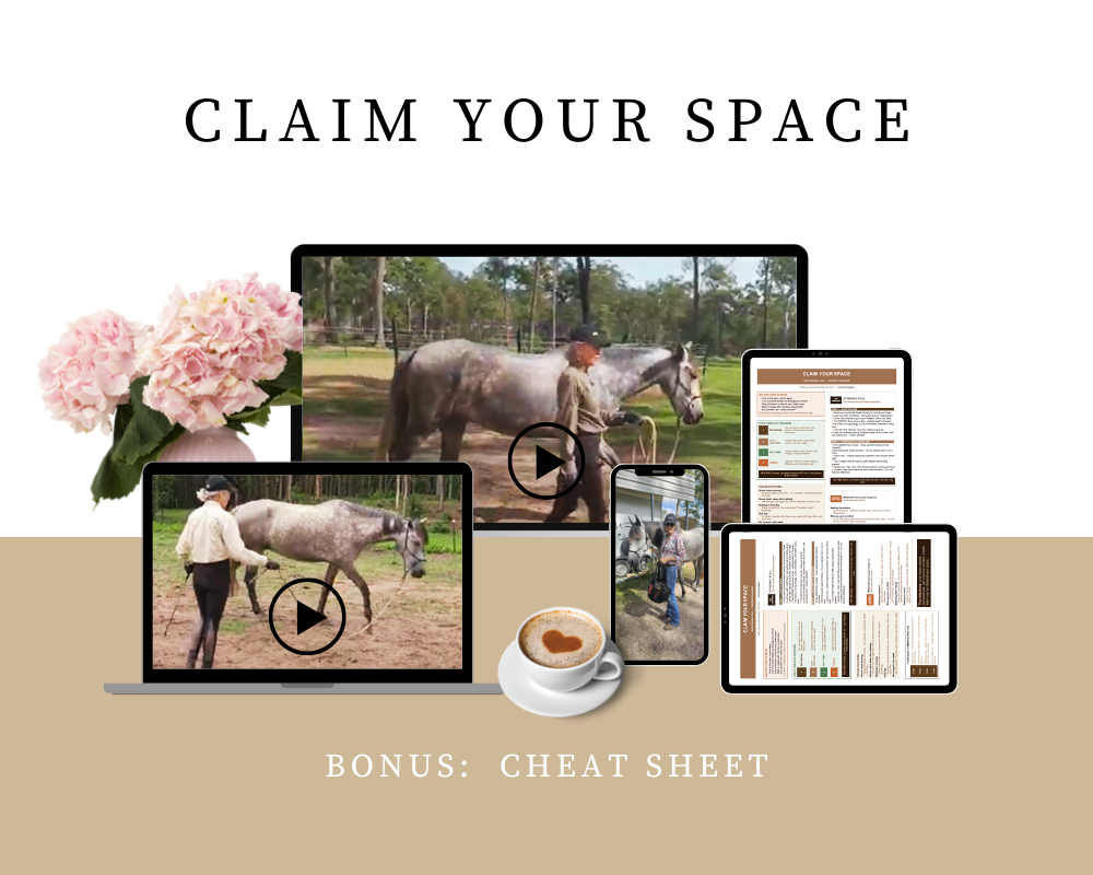 Copy of Digital Mockups - Pack 1 (1)